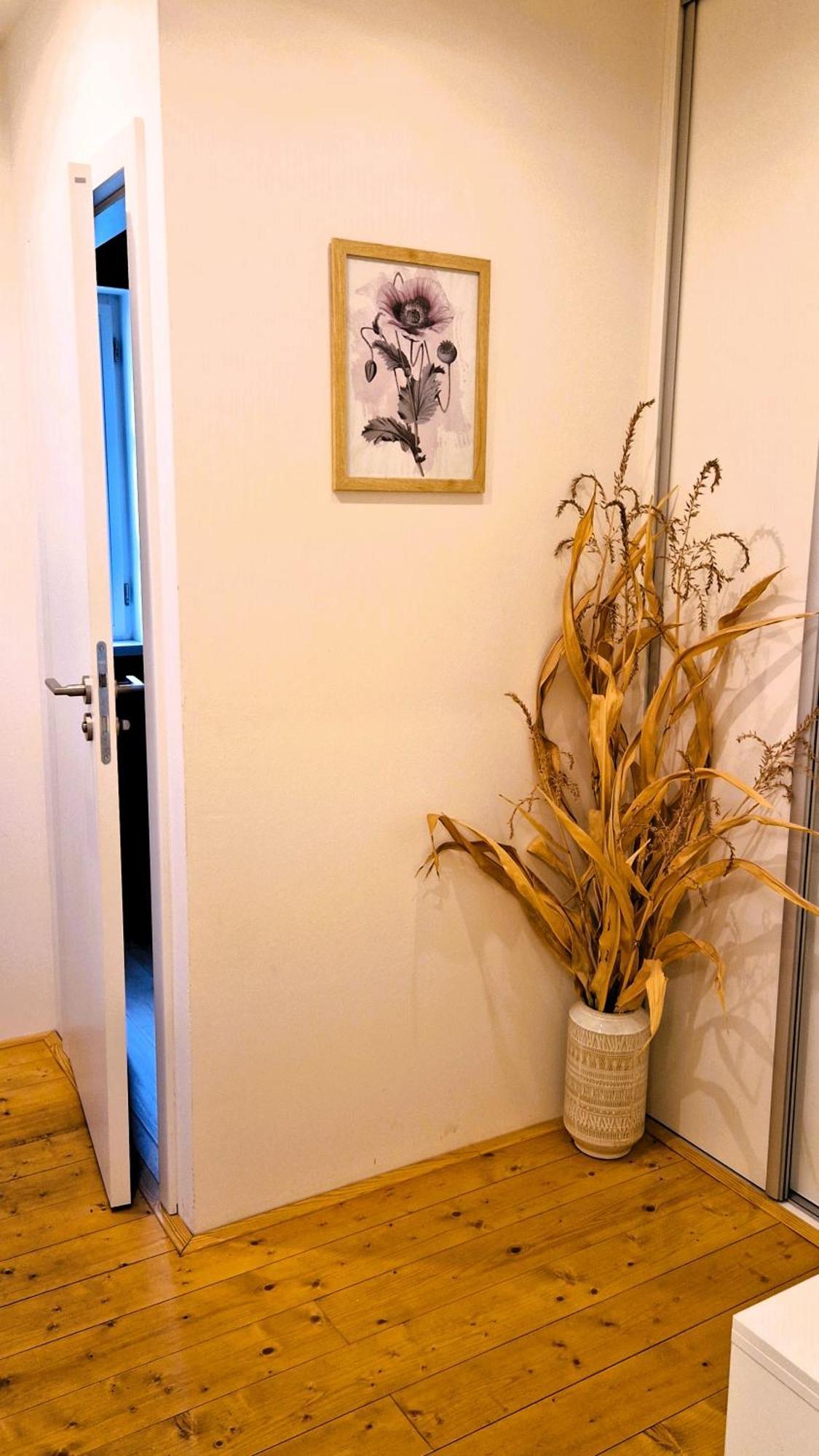 Apartmany Vcelin Brniste エクステリア 写真