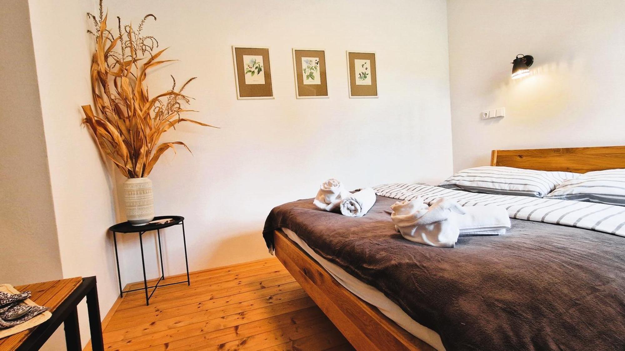 Apartmany Vcelin Brniste エクステリア 写真