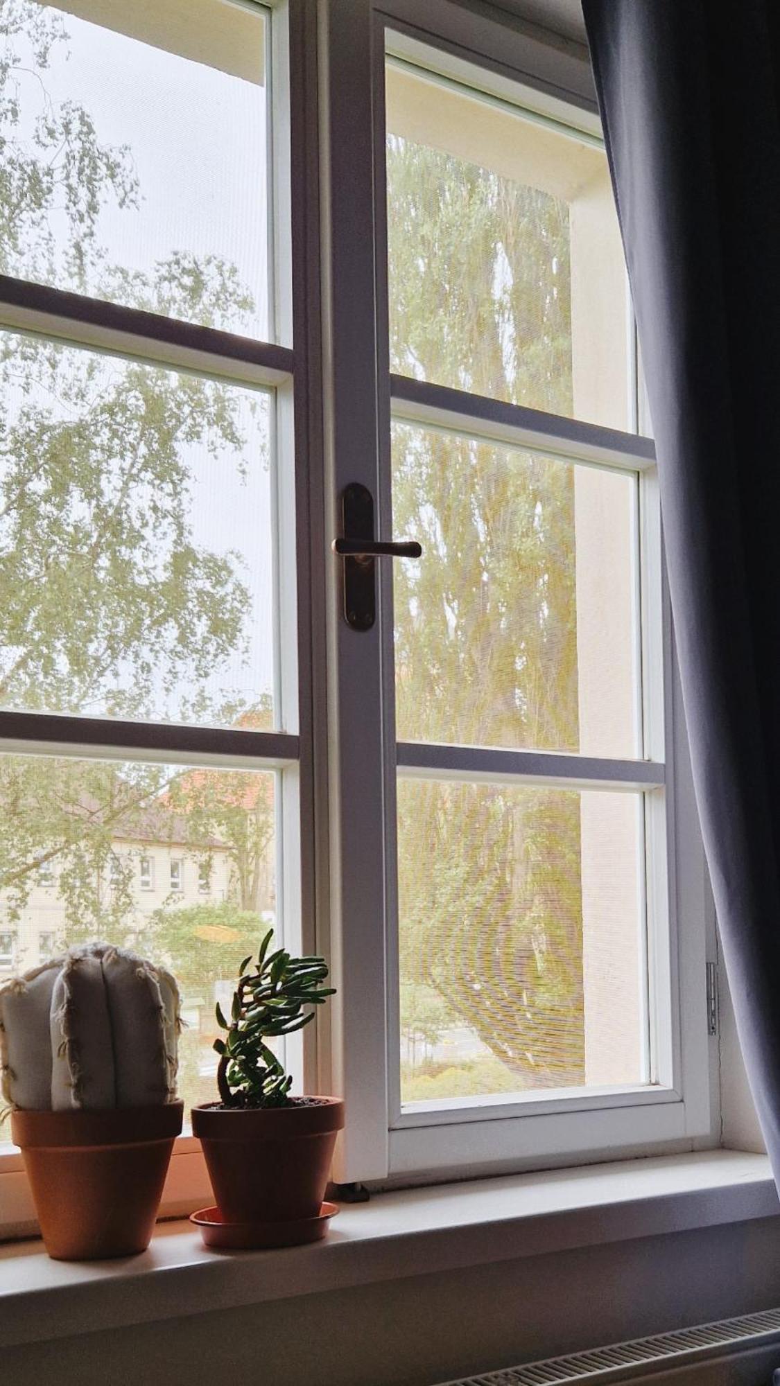 Apartmany Vcelin Brniste エクステリア 写真